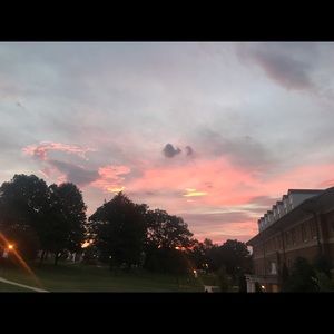 Meet your Posher, Alysse